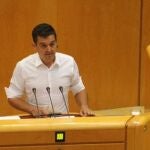 El senador de Compromís, Carles Mulet