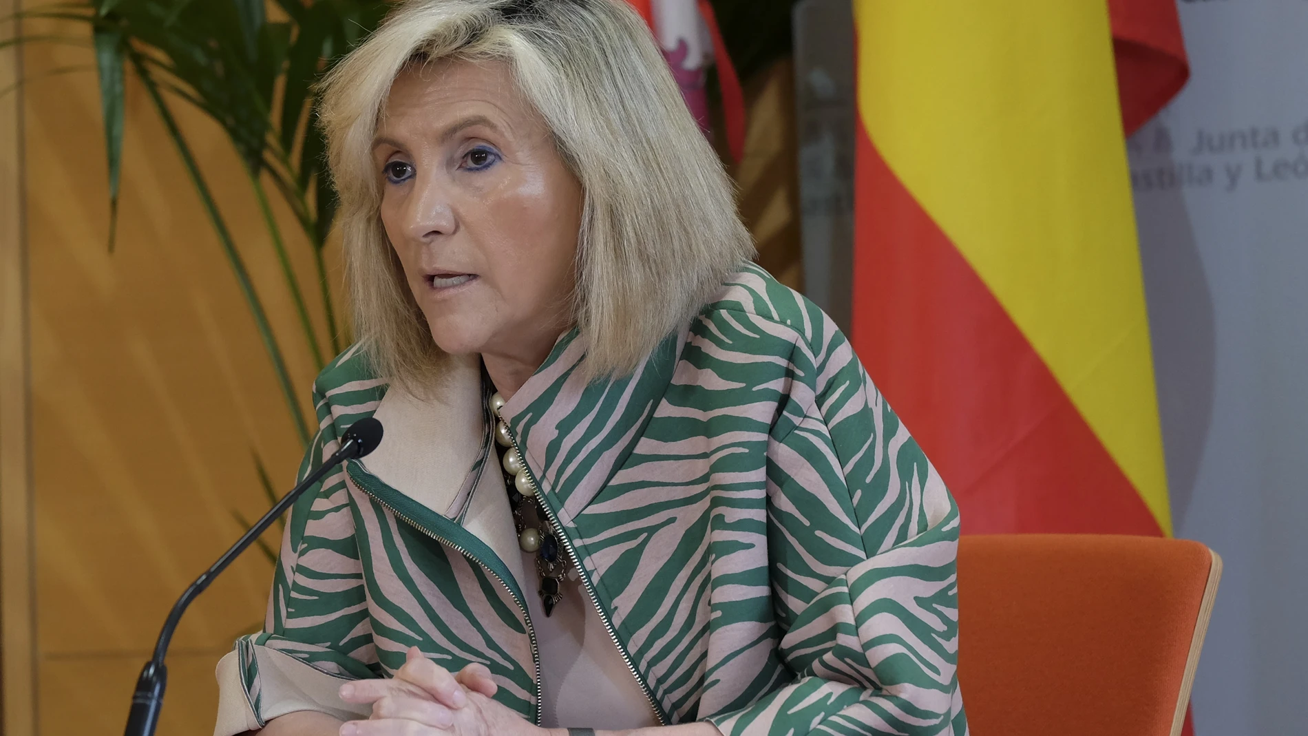 La consejera de Sanidad, Verónica Casado, comparece en rueda de prensa telemática para informar de la situación en Castilla y León en relación a la COVID-19