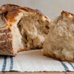 Masa madre