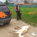 Un perro muere después de que su dueño lo "paseara" atado a la bola del coche tras saltarse el confinamiento / Facebook