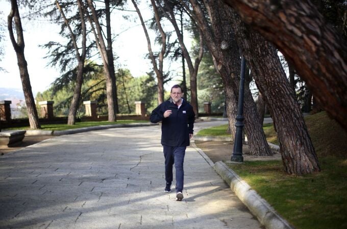 - Fotografía facilitada por el PP del presidente del Gobierno y candidato a la reelección por el partido en 2015, Mariano Rajoy, con su perro en los jardines del Palacio de la Moncloa donde aprovechó la jornada de reflexión para hacer deporte. Rajoy eligió para hoy un plan hogareño y estará todo el día en el Palacio de la Moncloa, la residencia oficial del jefe del Ejecutivo. - Fotografía facilitada por el PP del presidente del Gobierno y candidato a la reelección por el partido en 2015, Mariano Rajoy, con su perro en los jardines del Palacio de la Moncloa donde aprovechó la jornada de reflexión para hacer deporte. Rajoy eligió para hoy un plan hogareño y estará todo el día en el Palacio de la Moncloa, la residencia oficial del jefe del Ejecutivo.