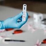 La polémica ha surgido en la redacción de un contrato del SEPE