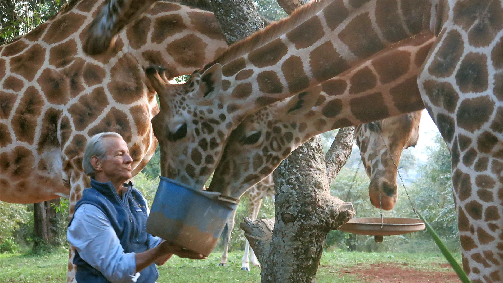 Peter Beard era un amante de la fauna africana, que retrató a lo largo de su vida