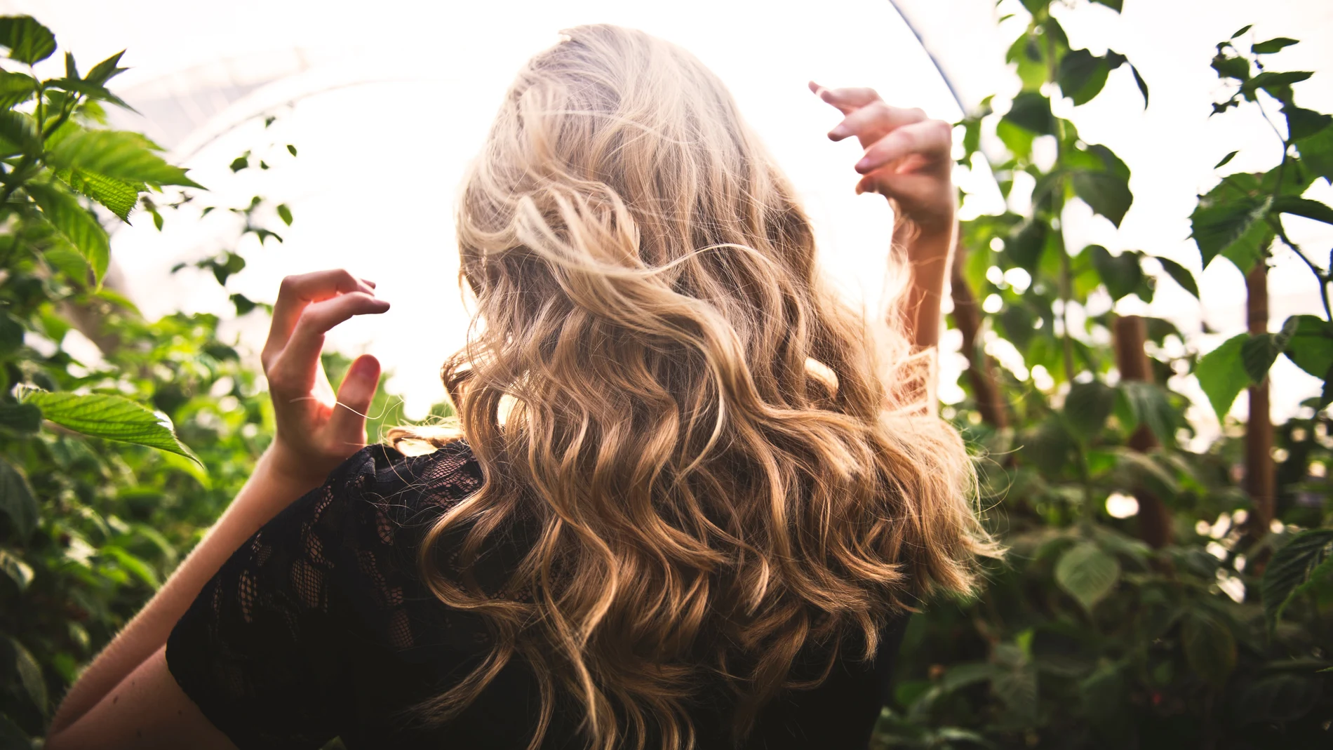 Imagen del cabello de una mujer
