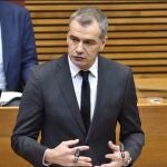 El síndic de Ciudadanos (Cs) en Les Corts Valencianes, Toni Cantó,I. CABALLER/CORTS VALENCIANES24/04/2020