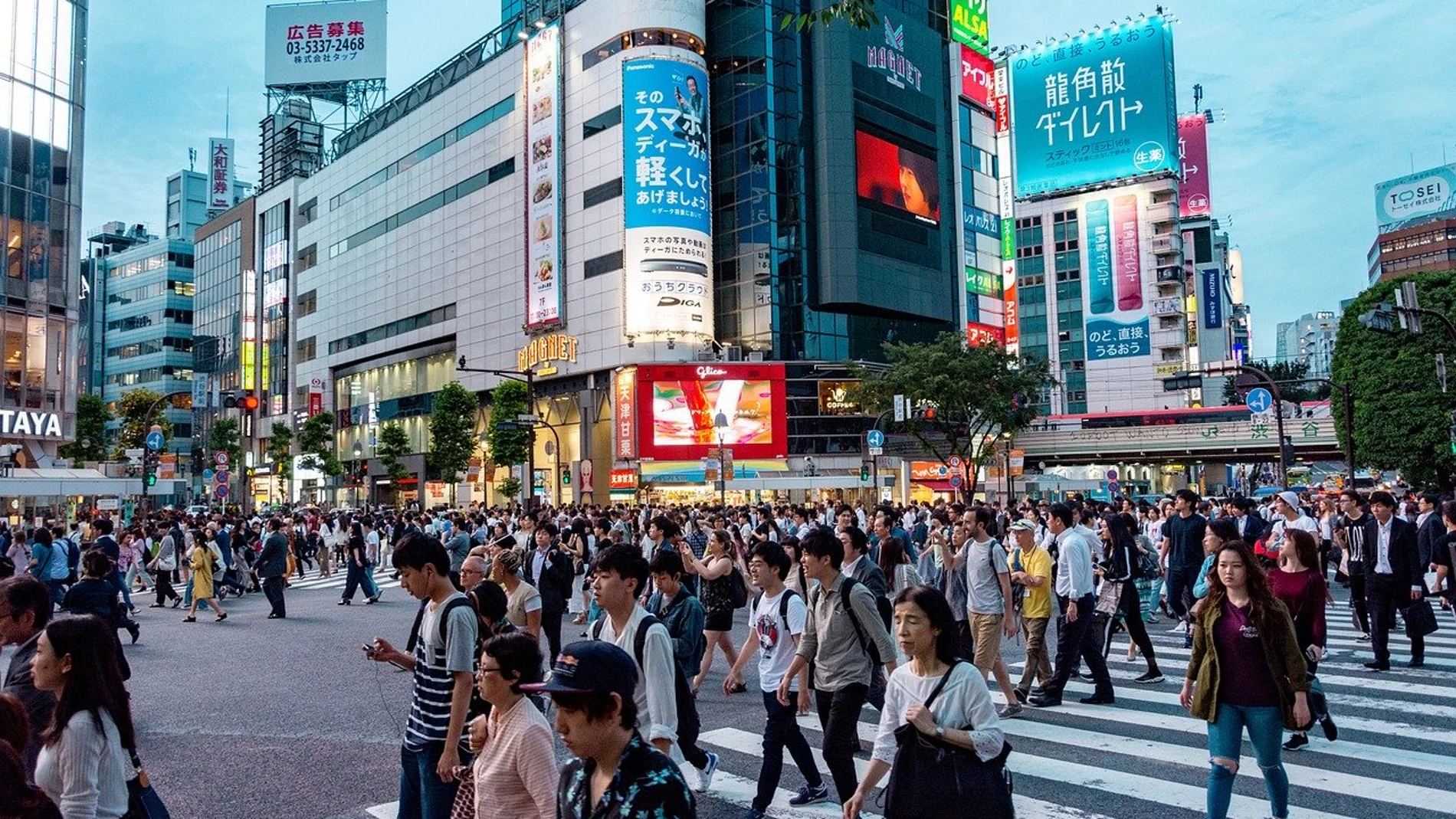 Calles de Tokio.