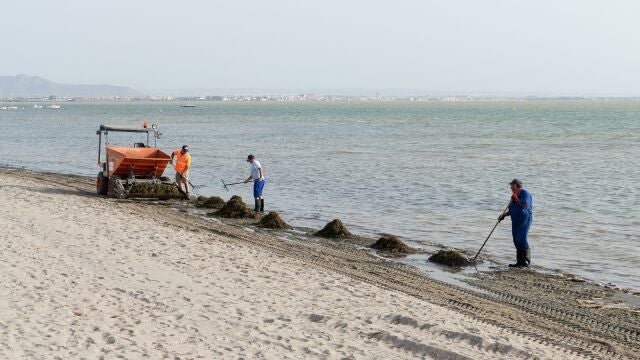 Limpieza playas Mar Menor