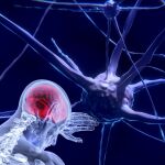 La computación neuromórfica, a medio camino entre la tecnología y la biomimética, promete ser el complemento perfecto de la supercomputación o los sistemas cuánticos en el advenimiento de la inteligencia artificial