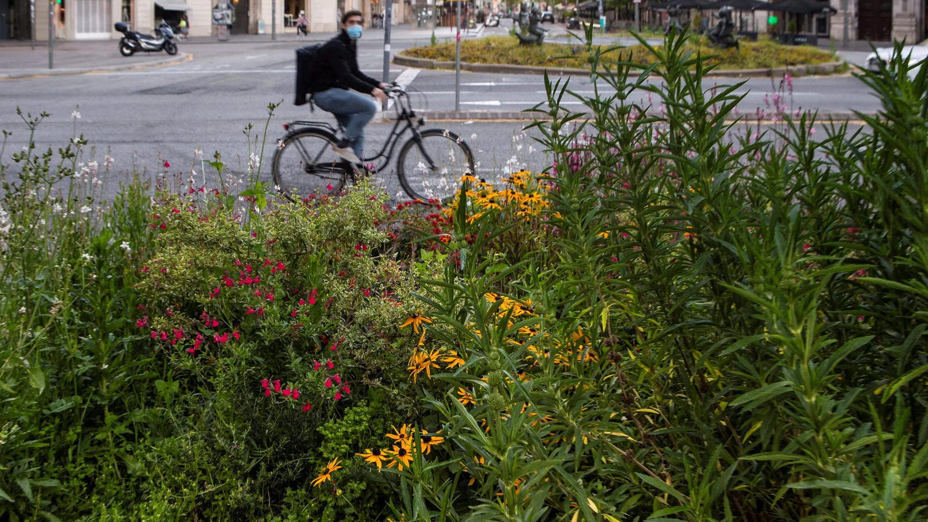 La ciudad silvestre: la vegetación que no se deja confinar