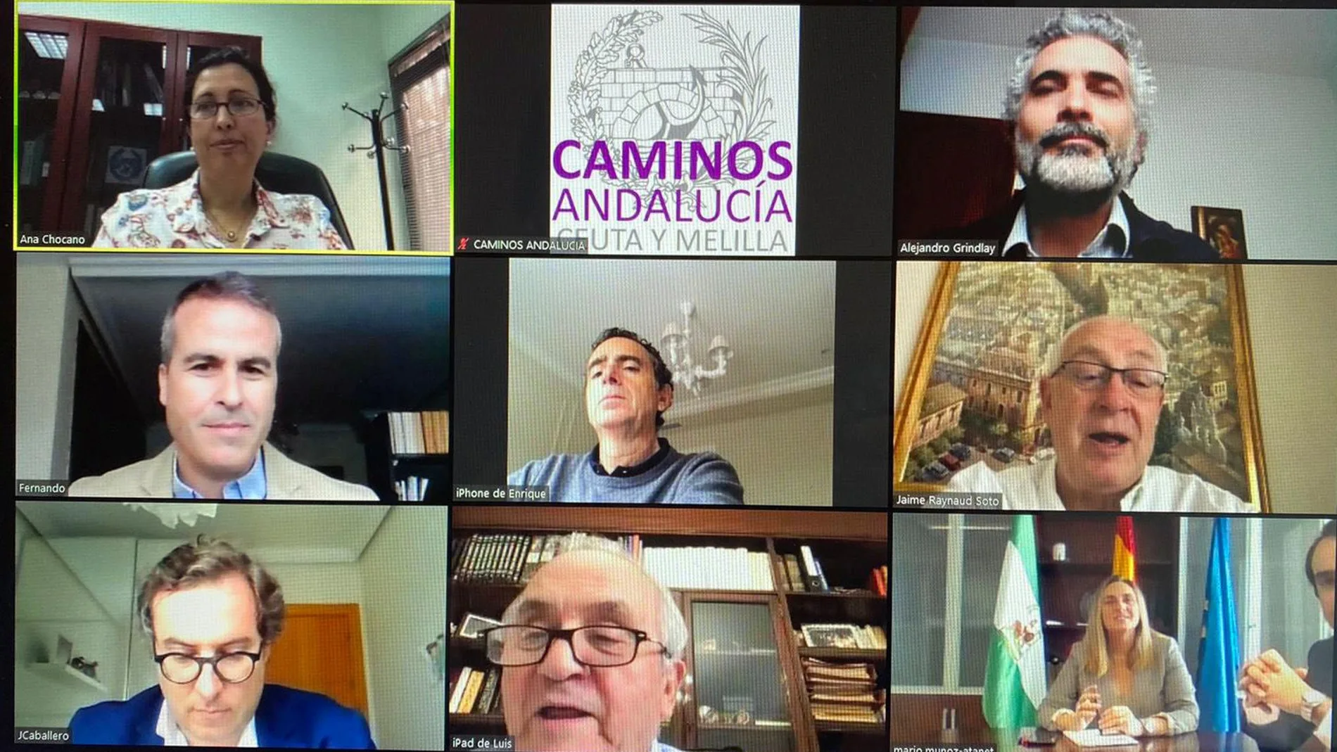 Reunión telemática de la consejera de Fomento con el Colegio de Ingenieros