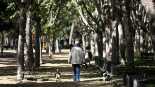 Apertura de los parques "m&aacute;s peque&ntilde;os" de los distritos de la capital