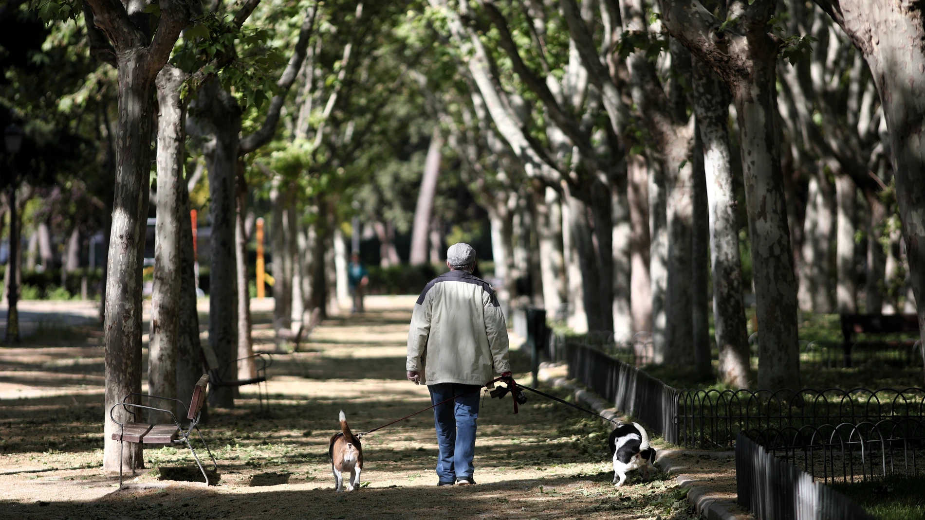 Apertura de los parques "más pequeños" de los distritos de la capital