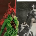 "Resplandor solar" de Lorna Simpson