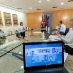 El Consejo de Gobierno se reúne de forma telemáticaGOBIERNO REGIONAL14/05/2020