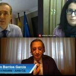 Germán Barrios (arriba a la izquierda) durante su participación en el seminario web del Colegio de Economistas de Valladolid.
