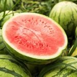 Mercadona compra sandía a 22 proveedores distintos en España