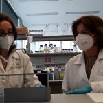 Se trata de un nuevo tratamiento combinado de un inductor desenescencia y una nanopartícula senolítica