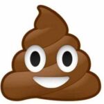 ¿Cuál es el verdadero significado el emoji con forma de caca?