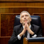 El ministro del Interior, Fernando Grande Marlaska, el pasado miércoles en el Congreso. Pool27/05/2020