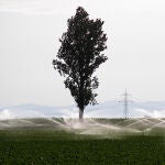 Nuevas ayudas para regadíos en la provincia de León