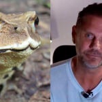 Imagen del sapo bufo y de Nacho Vidal
