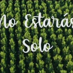 No estarás solo