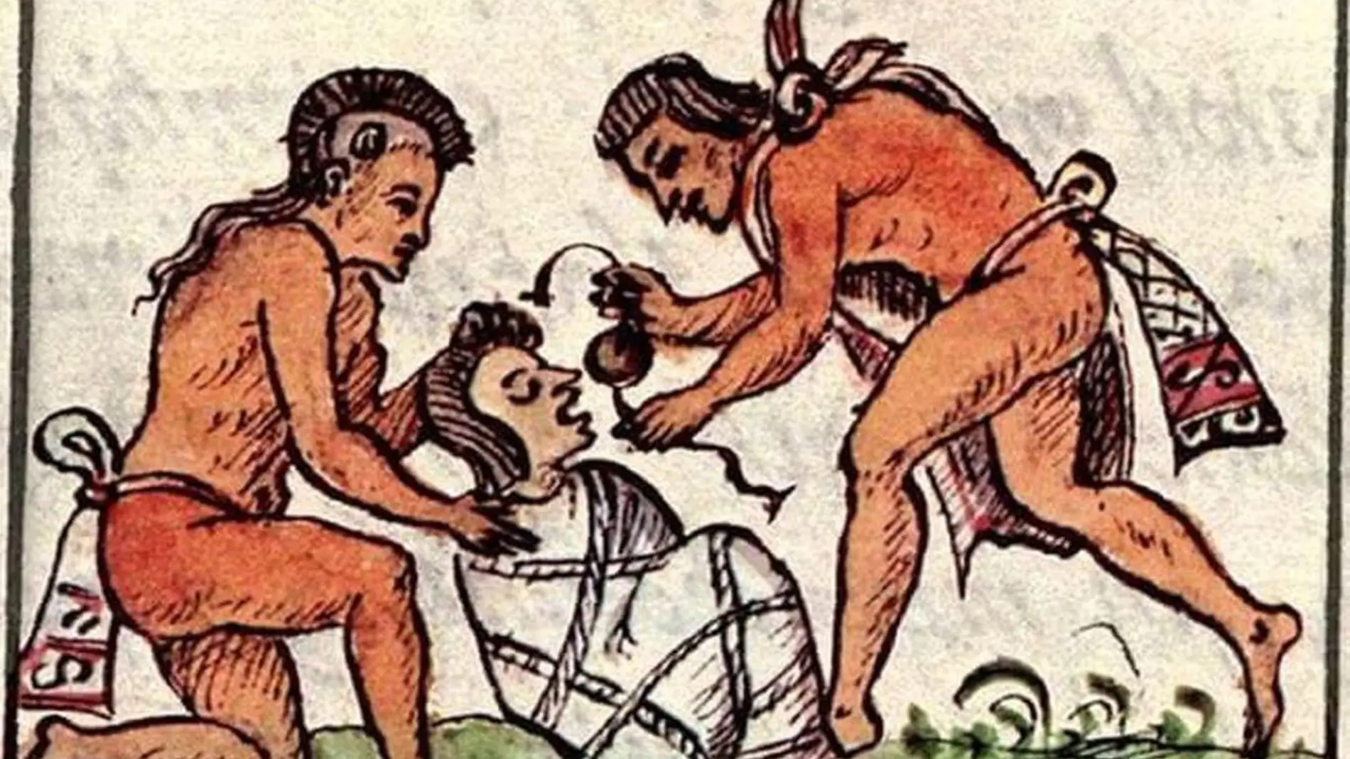 Los orígenes de esta terrible epidemia no están aun del todo claros, aunque podría tratarse de una salmonela