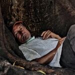 ACOMPAÑA CRÓNICA***AME6606. TEGUCIGALPA (HONDURAS), 13/06/2020.- Un hombre de la tercera edad descansa este sábado bajo un árbol mientras lleva su tapabocas bajo la barbilla, en Tegucigalpa (Honduras). En medio de la pandemia por la COVID-19, con tres meses de confinamiento, los hondureños no han perdido el sentido del humor, al definir los tapabocas de protección entre "mas-carillas", que usan los que pueden comprarlas, y más-baratillas", aquellas para los pobres y más golpeados por el coronavirus SARS-CoV-2. EFE/Gustavo Amador