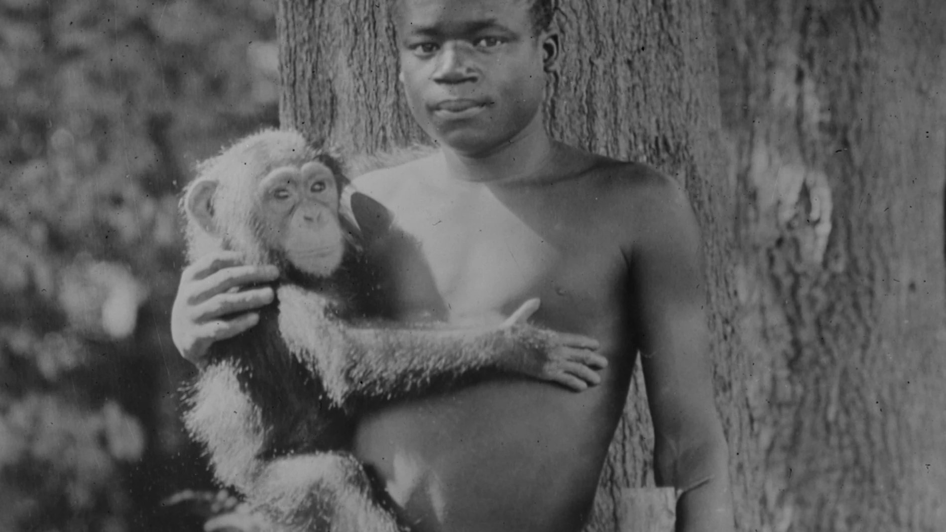 Ota Benga en el zoo del Bronx