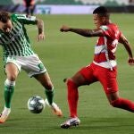 El delantero del Real Betis, Loren Morón (i), disputa el balón ante el jugador venezolano del Granada, Darwin Machís