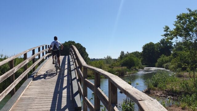 Puente en el Parque Natural del Turia