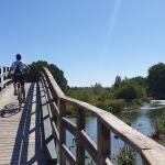 Puente en el Parque Natural del Turia