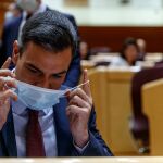 Pedro Sánchez comparece en el Pleno del Senado