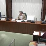 Comisión de investigación de la aplicación del artículo 155 de la Constitución en Catalunya.EUROPA PRESS16/06/2020