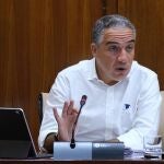El consejero de la Presidencia, Administración Pública e Interior, Elías Bendodo, este jueves en la comisión del Parlamento