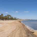Limpieza en Punta Brava