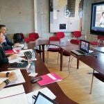 Reunión, por videoconferencia, de la consejera de Educación y Cultura, Esperanza Moreno, con la ministra de Educación y Formación Profesional, Isabel CelaáGOBIERNO REGIONAL01/07/2020