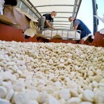 La guardia de Finanzas italiana muestra el impresionante alijo de anfetaminas incautado en Salerno