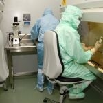 Investigadores universitarios