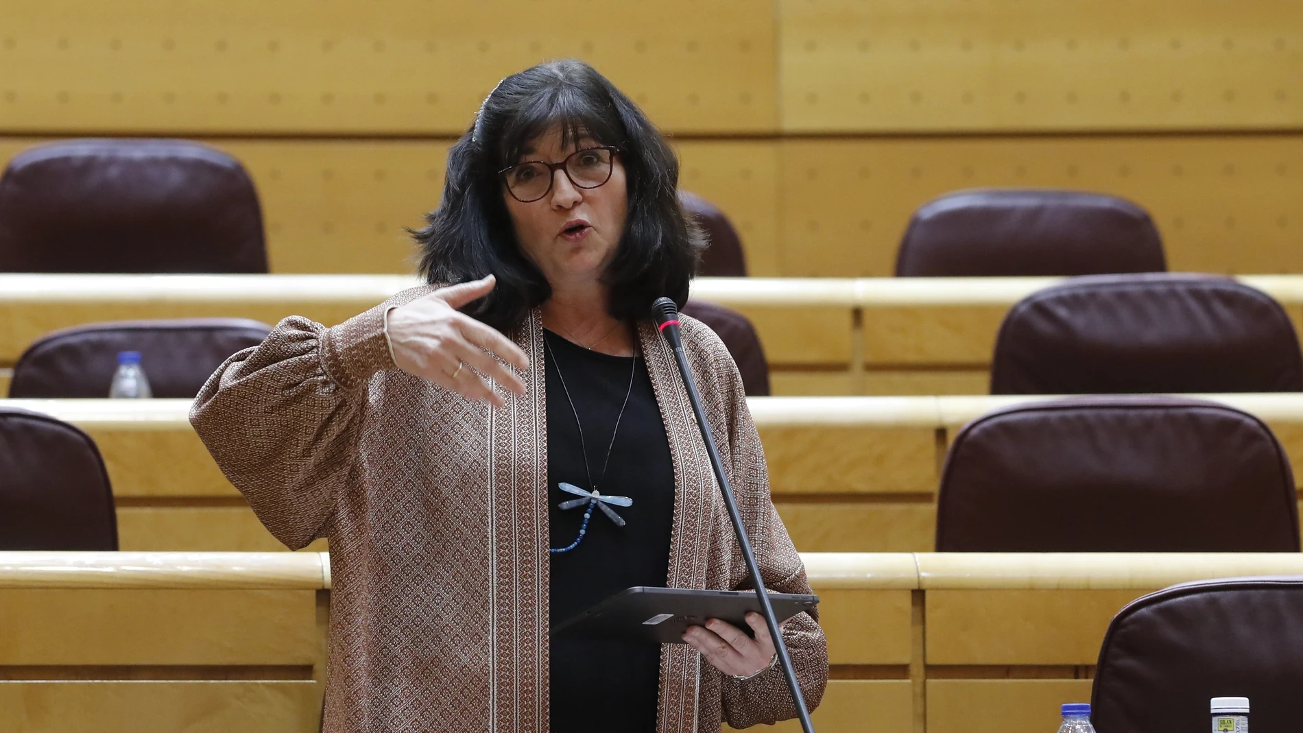 Imagen de archivo de la senadora de Adelante Andalucía, Pilar González Modino, en una Comisión General de Comunidades Autónomas celebrada en el Senado