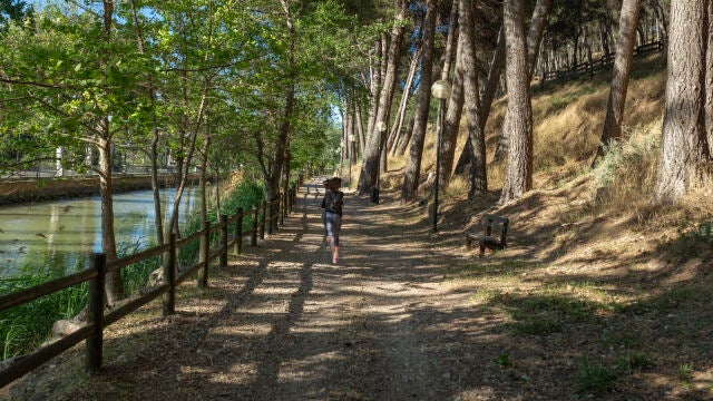 Zaragoza cuenta con numerosos parques y zonas verdes dentro de la ciudad