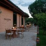 Terraza Calicata
