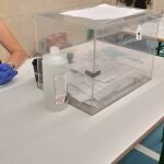 Urna electoral. Cataluña vive la jornada de reflexión previa a las elecciones catalanas 2021