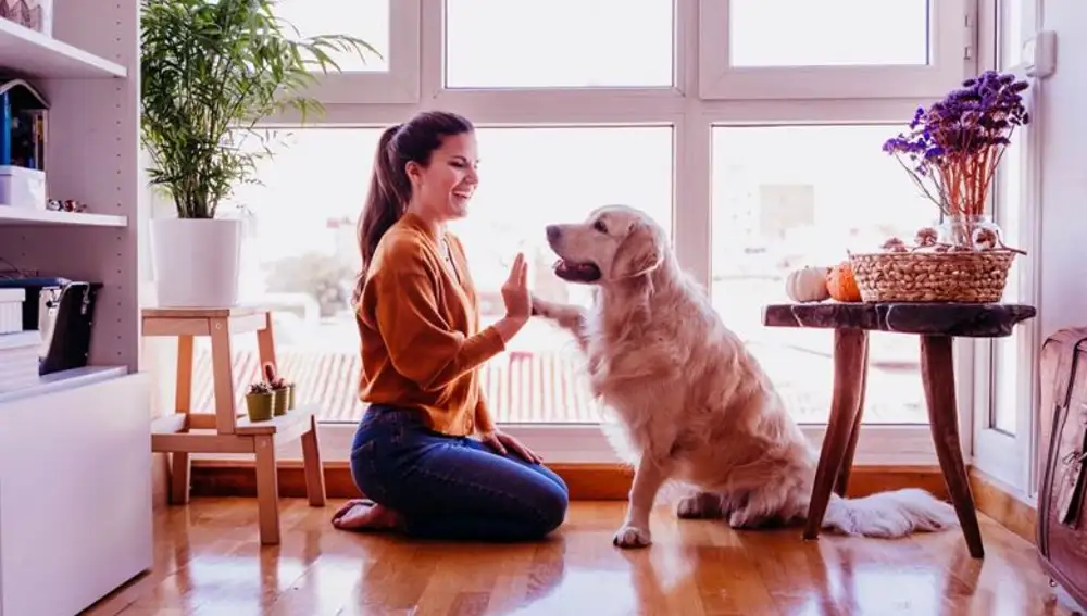 Las mascotas proporcionan felicidad en tiempos de confinamiento