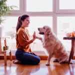 Las mascotas proporcionan felicidad en tiempos de confinamiento