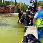 Bomberos de Móstoles y personal del SUMMA 112 en la fuente ornamental donde ha fallecido un joven de 16 años ahogado.