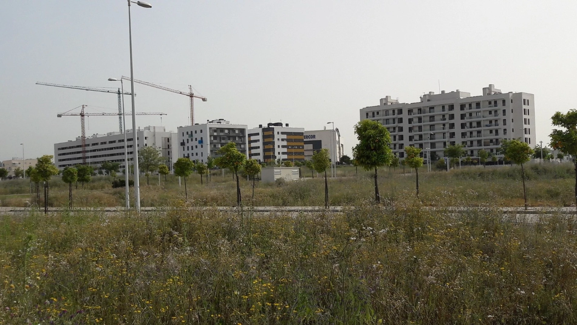 La Junta ofrece a promotores privados una permuta de suelos residenciales por viviendas, que inicia en Córdoba y Huelva