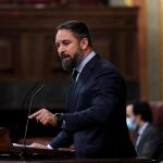 El líder de Vox, Santiago Abascal, durante una intervención en el pleno del Congreso