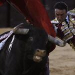 Enrique Ponce, con su primero en Osuna al que cortó una oreja