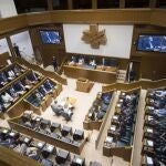 Imagen del Parlamento Vasco en su pleno de Constitución03/08/2020